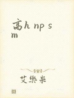 高h np sm