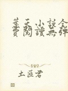 叶天小说全文免费阅读无弹窗封面