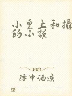 小皇上和摄政王的小说封面