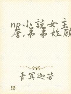 np小说女主姓唐,弟弟姓顾