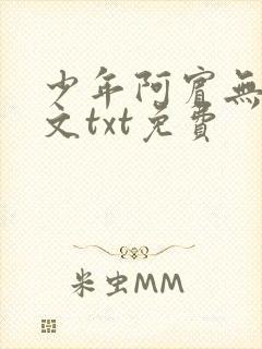 少年阿宾无删全文txt免费