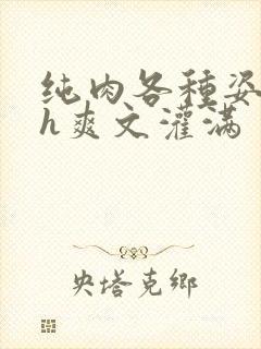 纯肉各种姿势高h爽文灌满封面