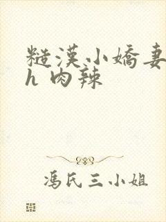 糙汉小娇妻h h 肉辣