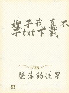 嫂子我真不是傻子txt下载