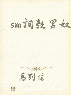 sm调教男奴文