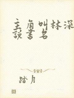 主角叫林深的小说书名封面