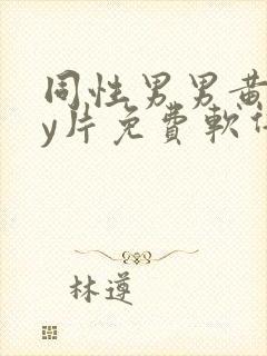 同性男男黄gay片免费软件