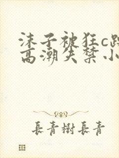 沫子被狂c躁到高潮失禁小说