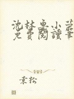 沈林鲁小荣小说免费阅读笔趣阁封面