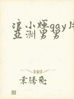 浪小辉gay片亚洲男男