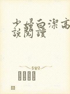 少妇白洁高义小说阅读