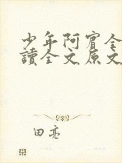 少年阿宾全文阅读全文原文