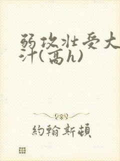 弱攻壮受大胸奶汁(高h)