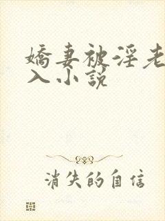 娇妻被淫老头进入小说