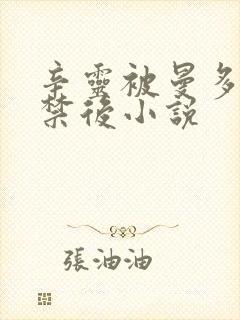 辛灵被曼多拉囚禁后小说封面