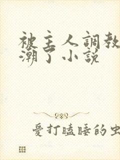 被主人调教到高潮了小说