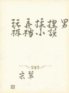 玩弄揉捏男总裁裤裆小说