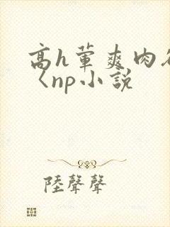 高h荤爽肉欲文〈np小说
