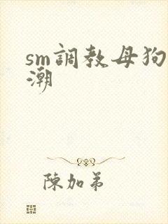 sm调教母狗高潮封面