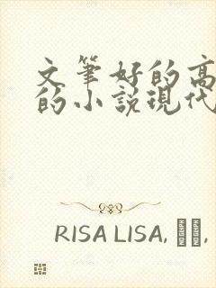 文笔好的高质量的小说现代言情推荐封面