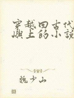 穿越回古代的岛屿上的小说