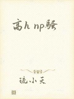 高h np骚