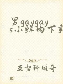 男gaygays小鲜肉下载