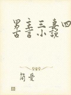 男主三妻四妾的古言小说