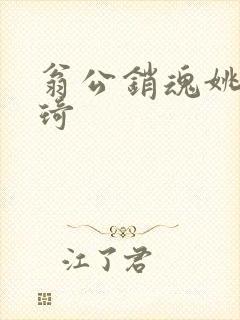 翁公销魂姚瑶琦琦封面