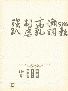 强制高潮sm跪趴虐乳调教文