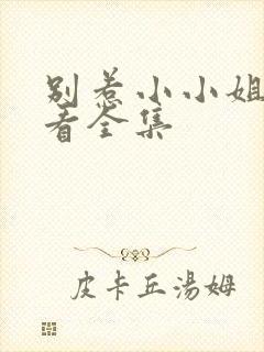 别惹小小姐免费看全集封面