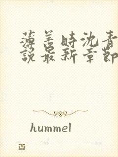 薄羡时沈青绾小说最新章节免费阅读