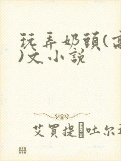 玩弄奶头(高h)文小说封面