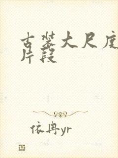 古装大尺度床戏片段