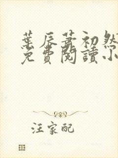 叶辰萧初然全文免费阅读小说