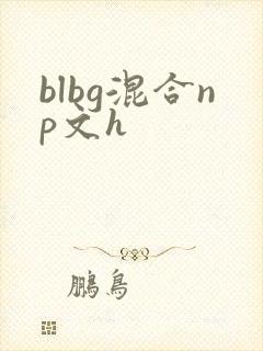 blbg混合np文h封面