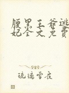 腹黑王爷逃跑王妃全文免费阅读