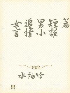 女追男短篇现代言情小说