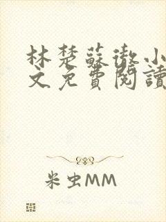 林楚苏彻小说全文免费阅读