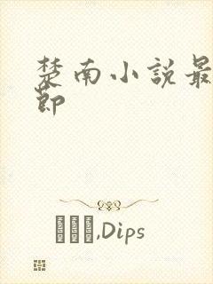 楚南小说最新章节