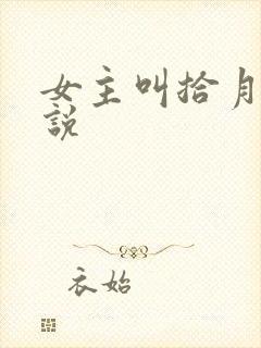 女主叫拾月的小说封面
