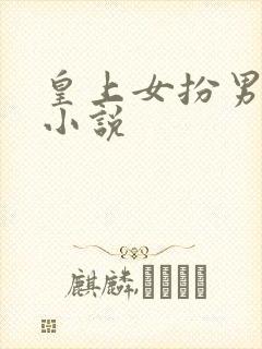 皇上女扮男装的小说封面