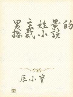 男主姓景的霸道总裁小说