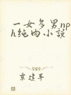 一女多男np高h纯肉小说
