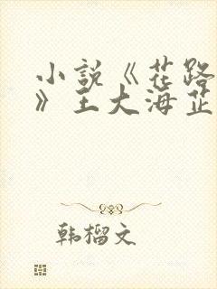 小说《花路璀璨》王大海芷晴在线阅读