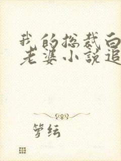 我的总裁白富美老婆小说追书