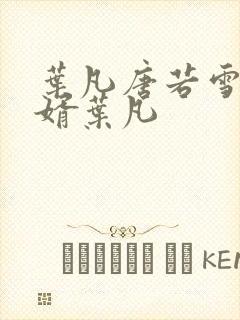 叶凡唐若雪 王婿叶凡封面