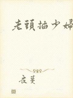 老头插少妇小说