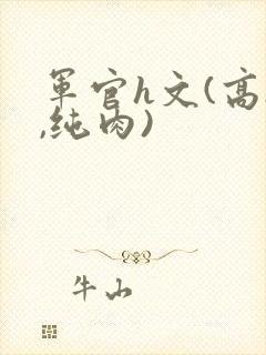 军官h文(高h,纯肉)