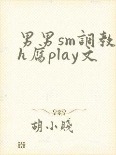 男男sm调教高h腐play文